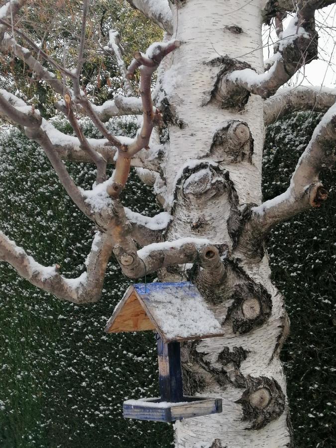 Chambre D'Hotes Chevrefeuille Moltig les Bains Exteriör bild